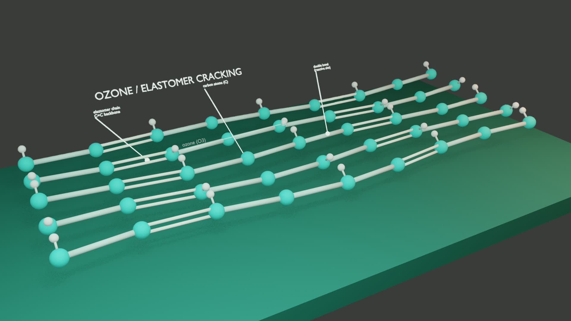 Ozone-induced cracking on a strained elastomer surface